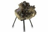 Dark Smoky Quartz Crystal Cluster - Brazil #293628-1
